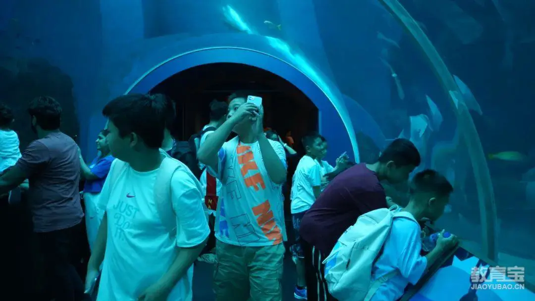 制定篮球交流计划以促进个人技能发展的方法_2